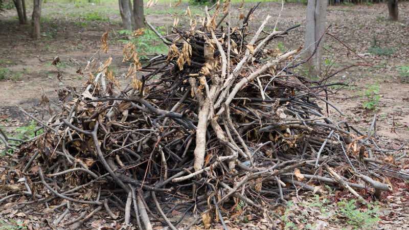 Twigs, yard waste in a pile in a yard