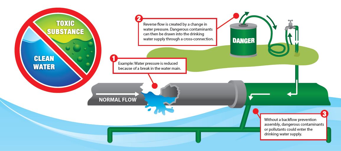 3D structure diagram of backflow