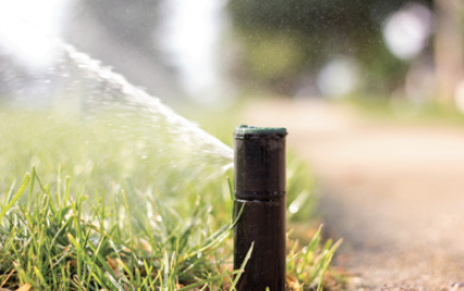 Pop up lawn sprinkler watering grass