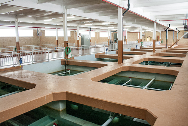 filter room at the water treatment plant in Holland, MI