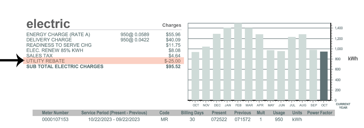 Image of a BPW bill's electric section with the line 