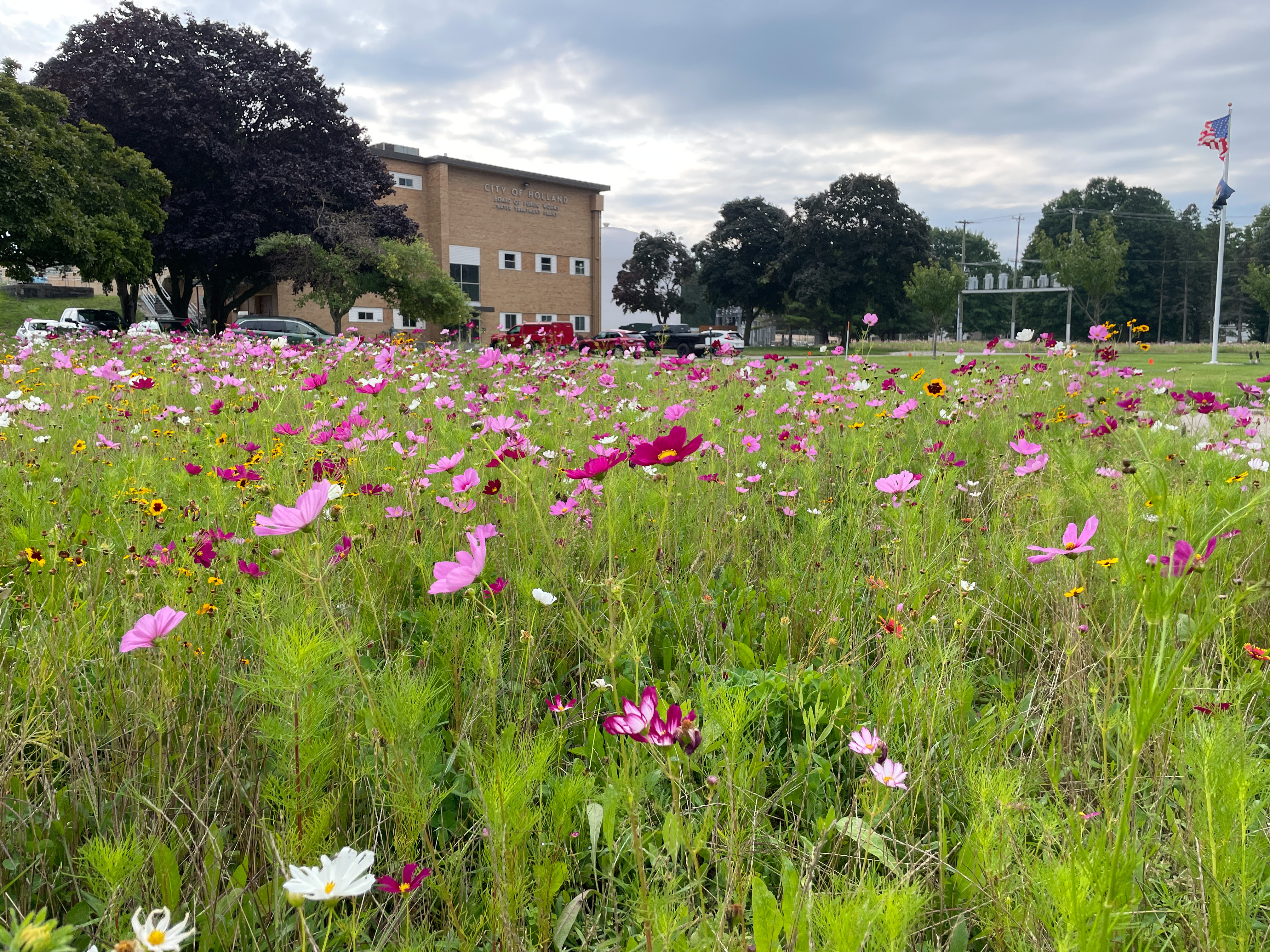 Exterior of Holland BPW's Water Treatment Plant with native flowers in bloom.