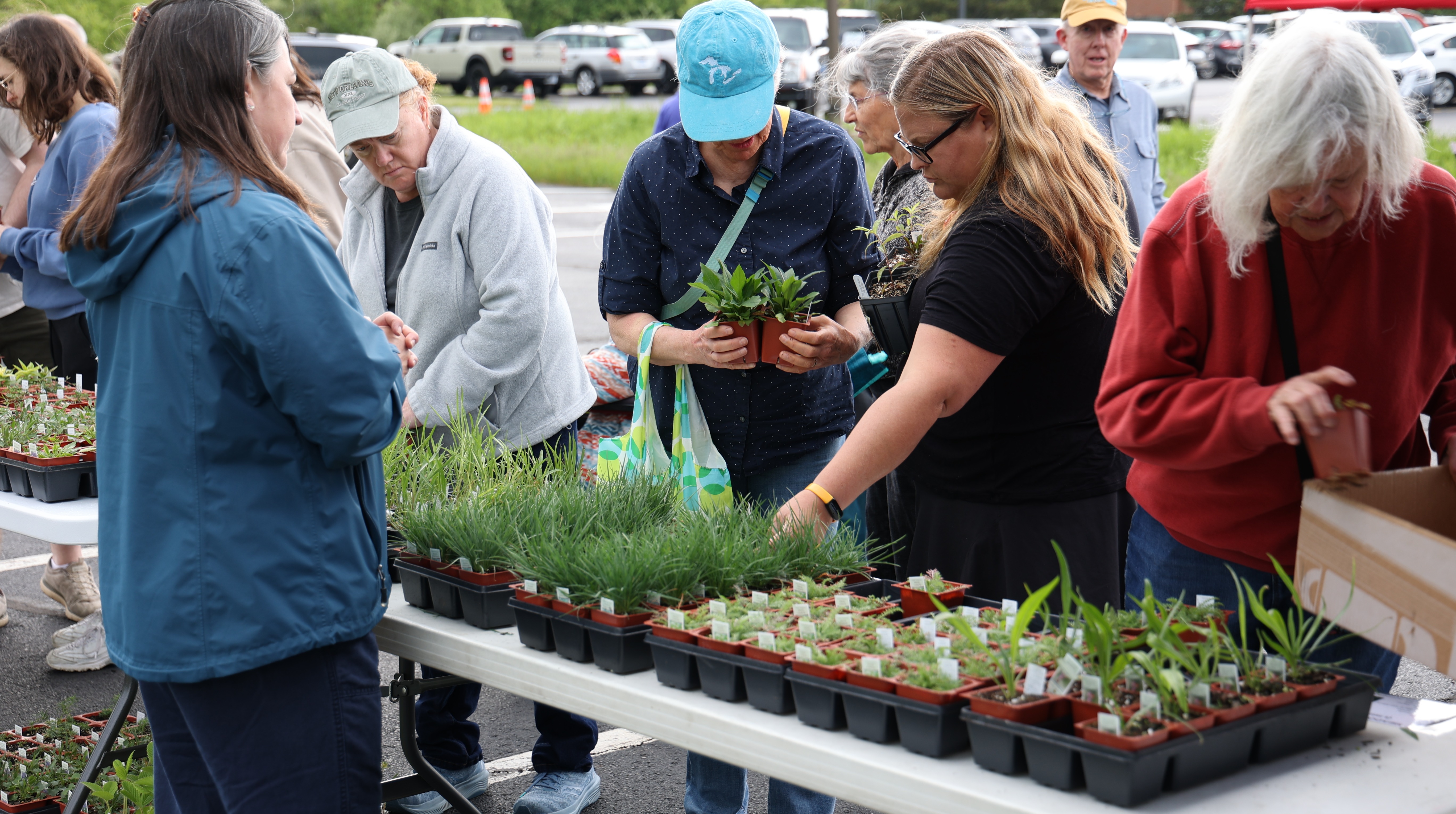 Fall Native Plant Sale 2026