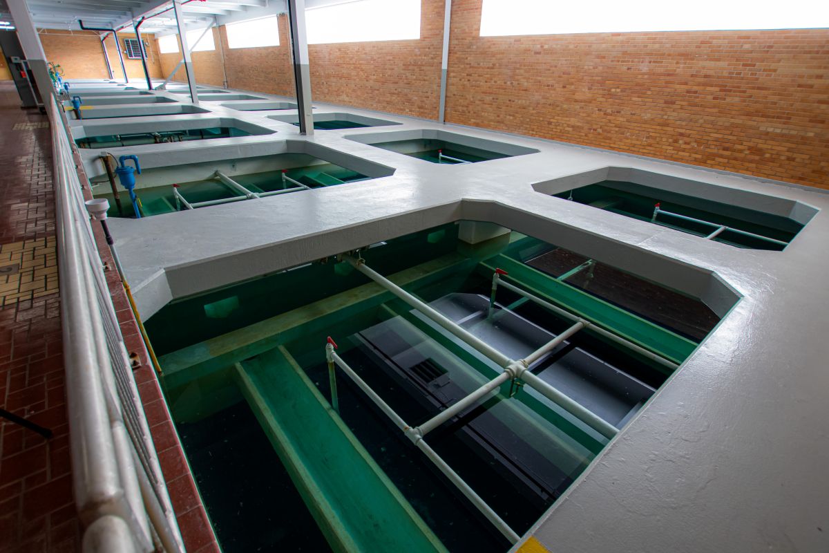 Filtration tanks in the Water Treatment Plant
