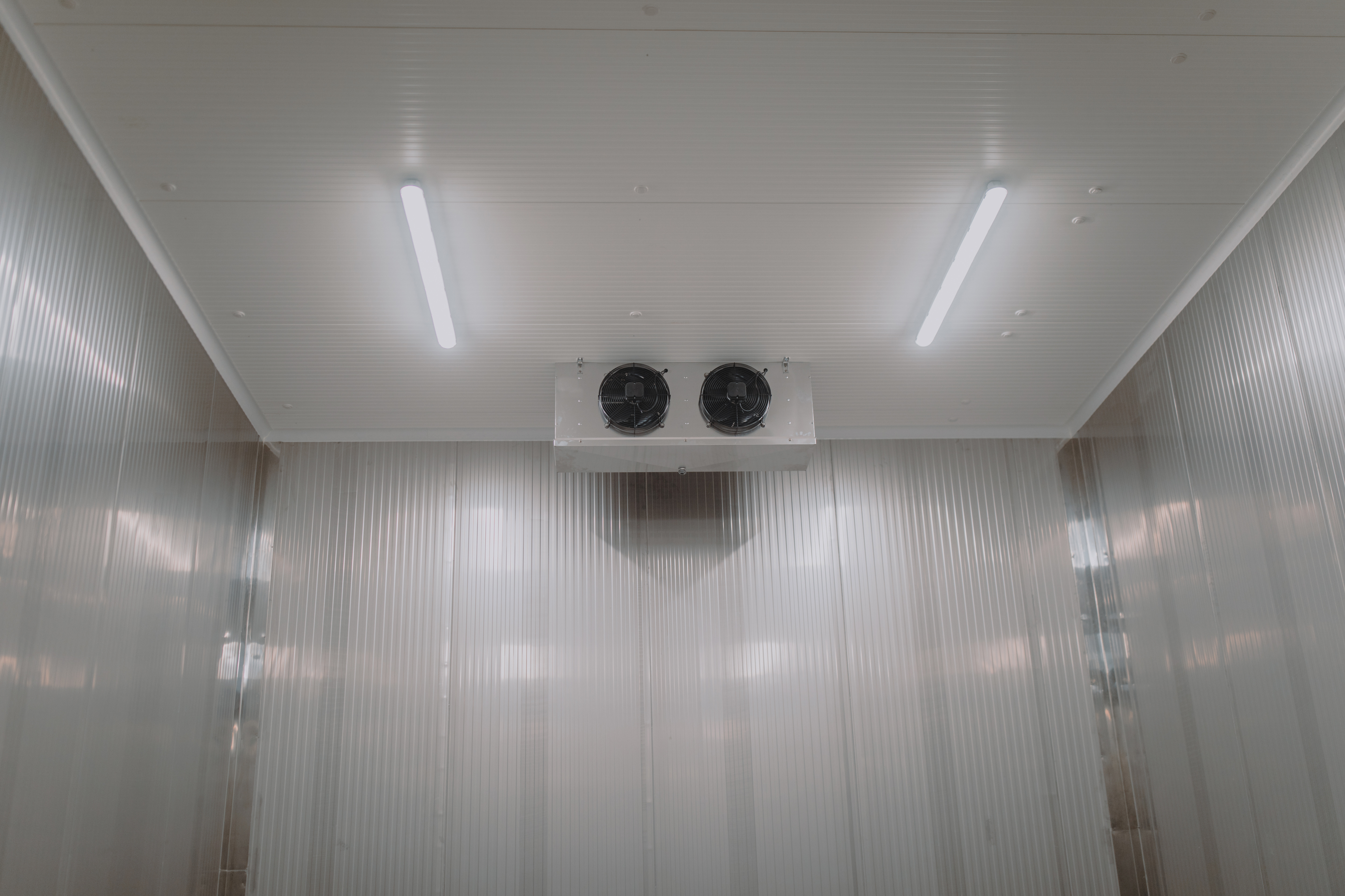 Commercial cooler