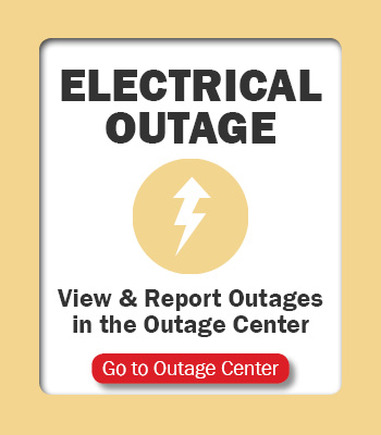 Outage Button Electrical