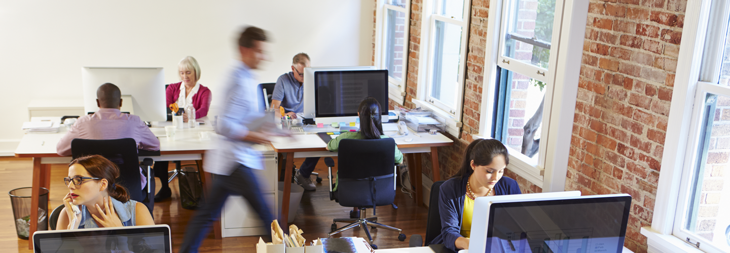 People in a bright office work closely next to one another.