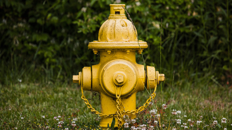 Hydrants Aren't Just for Fires