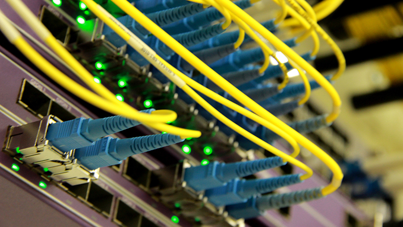 yellow cables with blue plugs are plugged into networking equipment