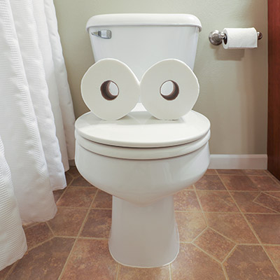 toilet