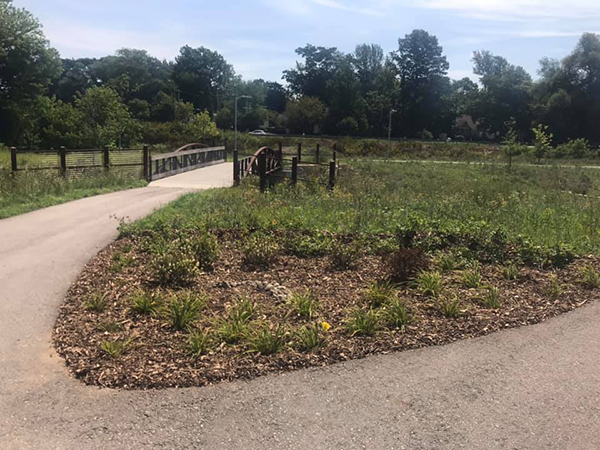 water conservation rain garden