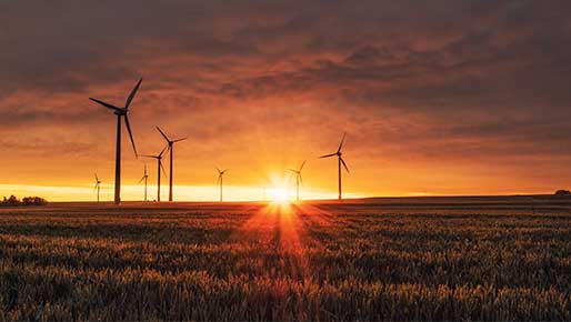 Wind farm at sunset