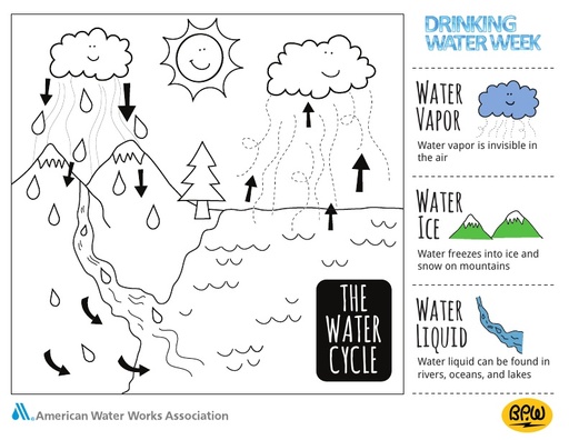 Coloring Page - The Water Cycle